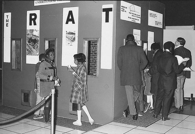 Reflecting on Our Radical Roots | Art Museum Teaching