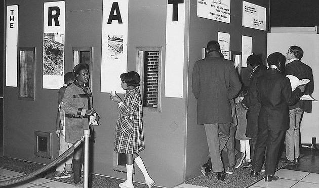 Reflecting on Our Radical Roots