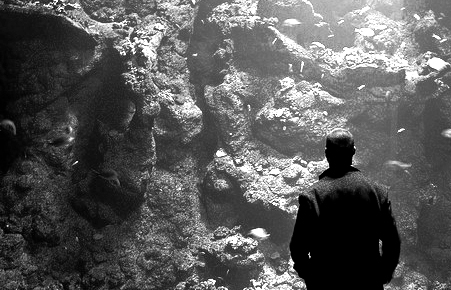 Epilogue: Why Museums Don’t Suck – Connecting with Howard Hwang