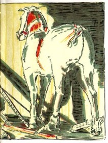 public domain image of the Skin Horse from Velveteen Rabbit