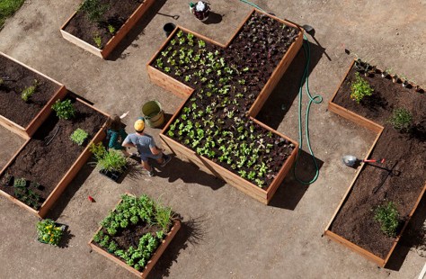 Overhead view of the Getty Salad Garden. Photo: Abby Han