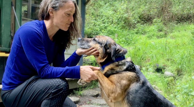 How Can I Contribute? Four Steps I’m Taking to Figure it Out